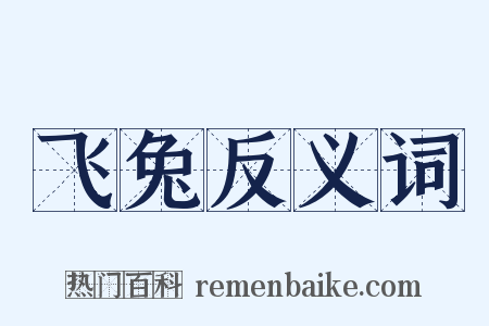 飞兔反义词是什么意思的图片